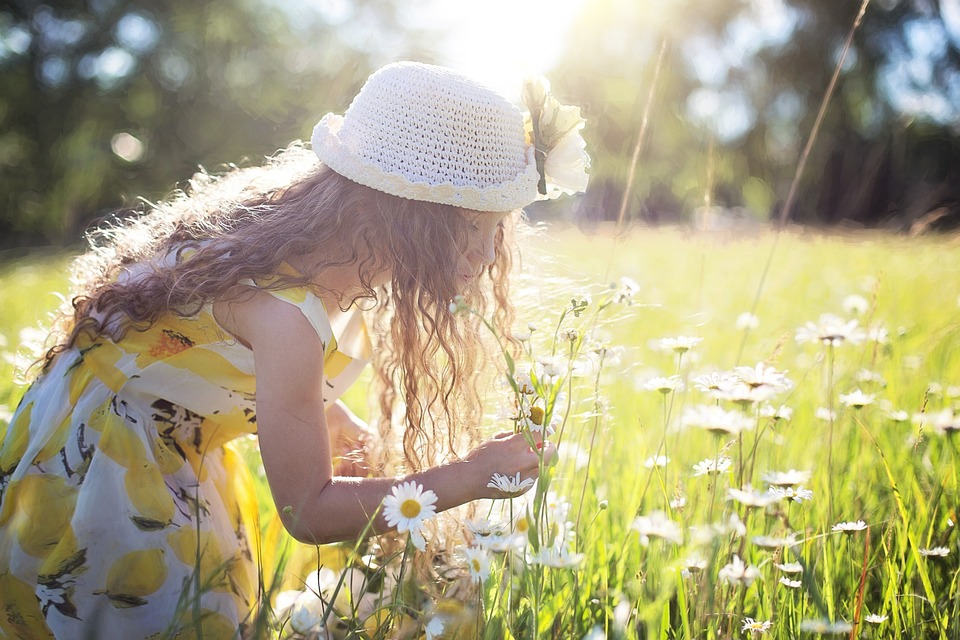 flower field..jpg