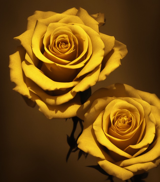 flower2.jpg