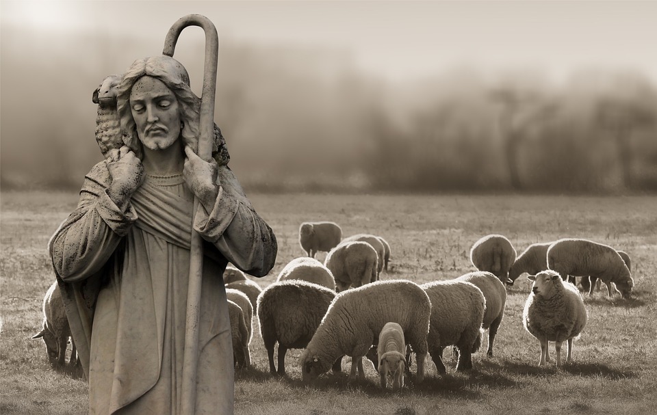 shepherd1.jpg
