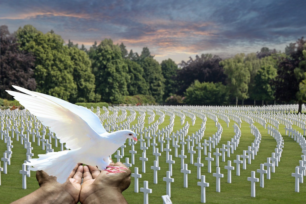 ww11.jpg