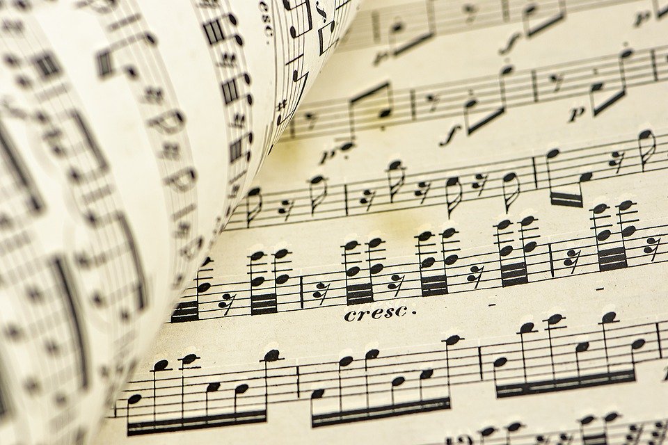 music5.jpg