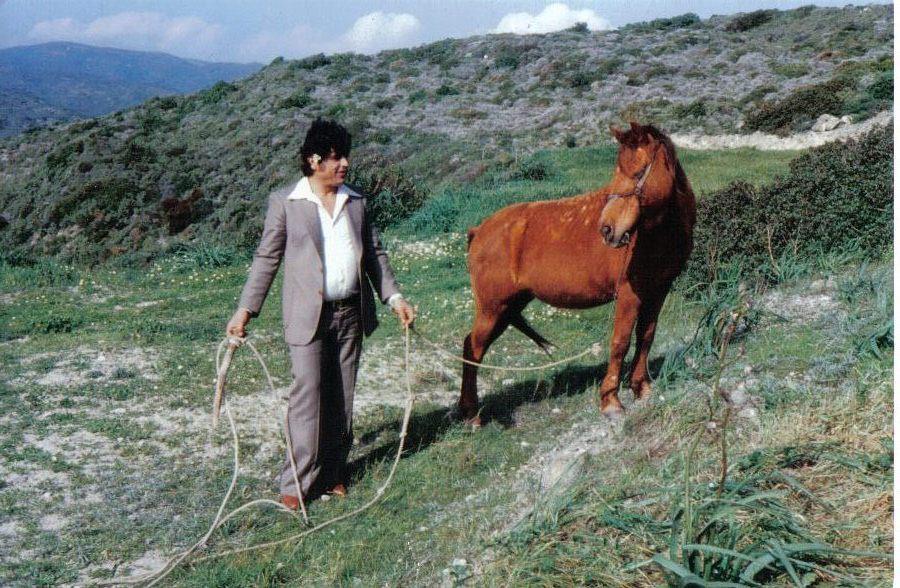 nikola11.jpg nikola11.jpg